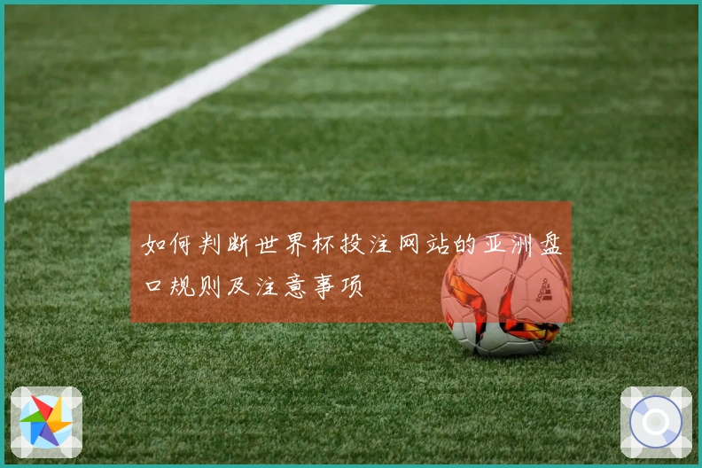 如何判断世界杯投注网站的亚洲盘口规则及注意事项