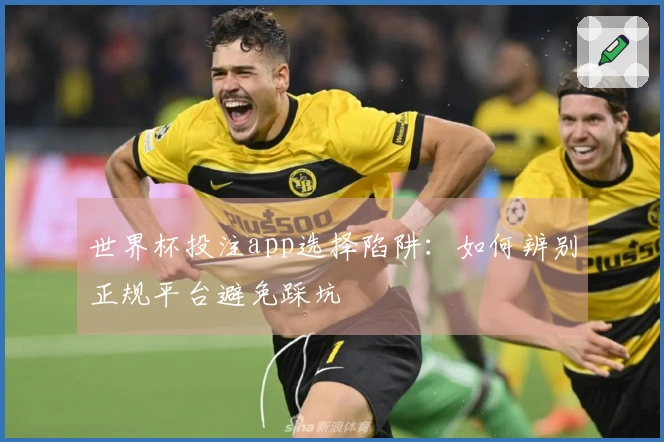 世界杯投注app选择陷阱：如何辨别正规平台避免踩坑