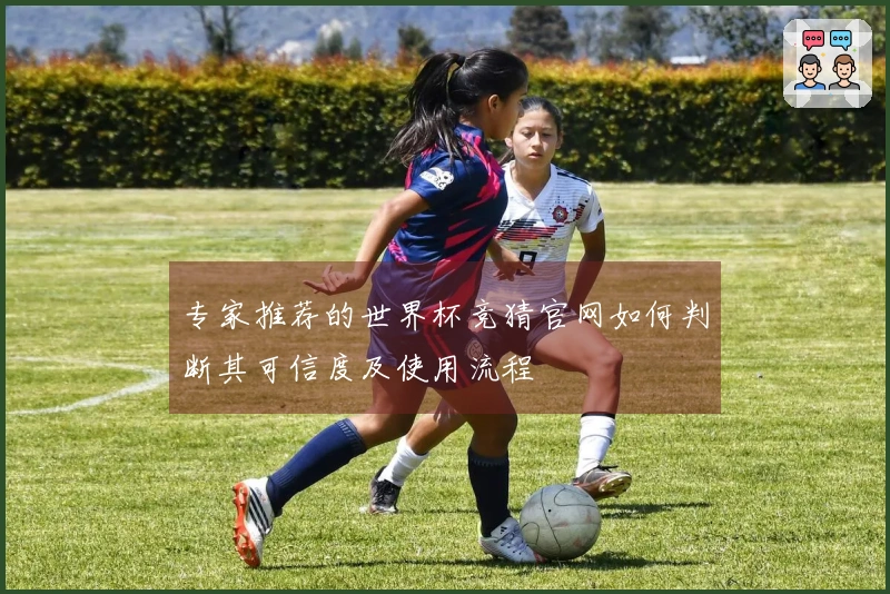 专家推荐的世界杯竞猜官网如何判断其可信度及使用流程